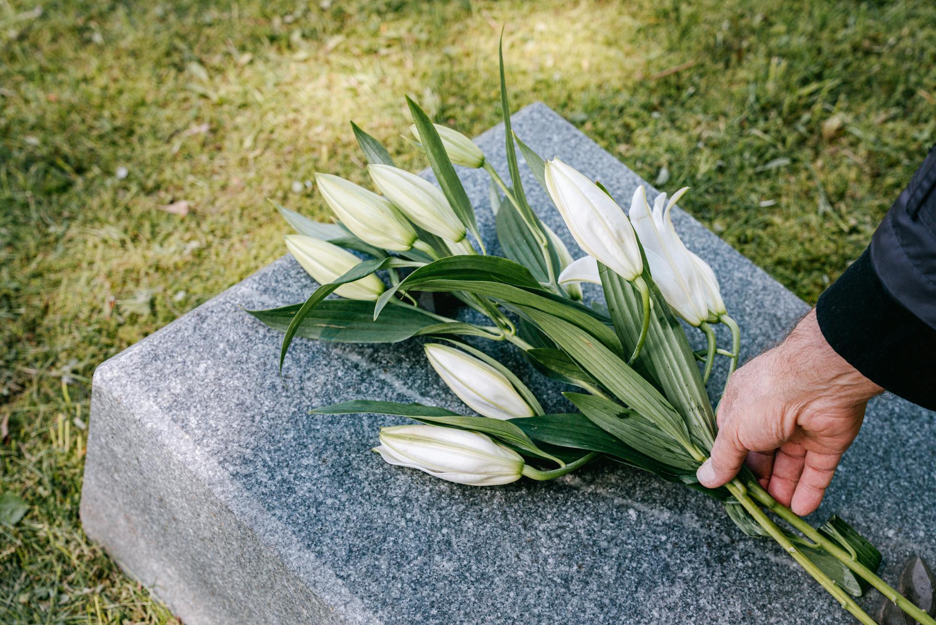 Kuva kukasta, joka lasketaan haudalle